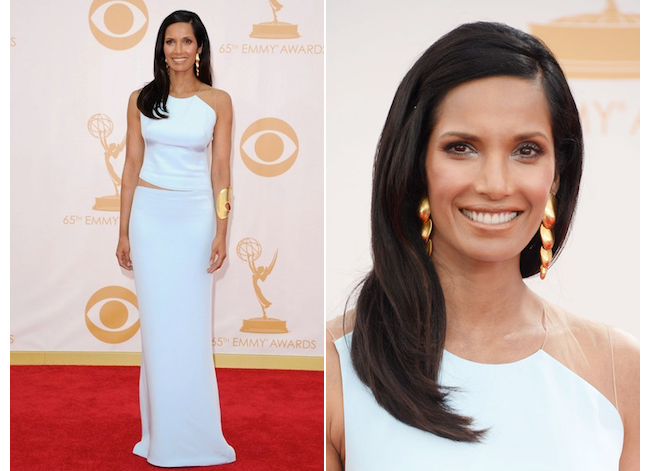  photo padmalakshmikaufmanfranco_zps0ab5279f.png