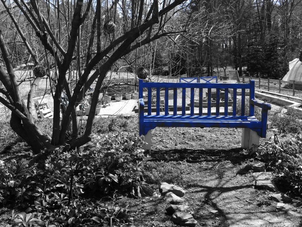 blue photo: blue bench DSC00187_zps58812431.jpg