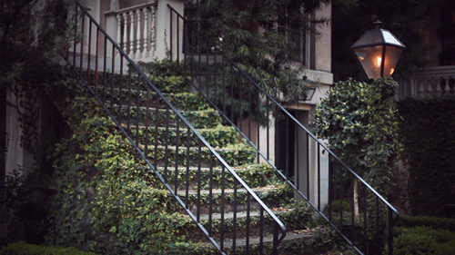 photo jamie-beck-184_zpsba42c030.gif