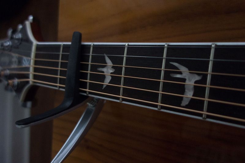 Hello ) The Acoustic Guitar Forum