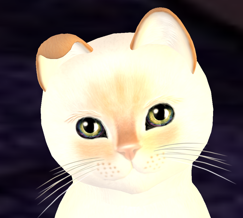 [Image: auctionkitty2_001_zpsfffbb065.png]