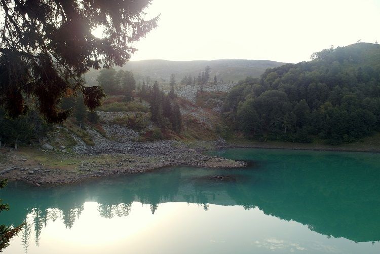 Paveikslėlis
