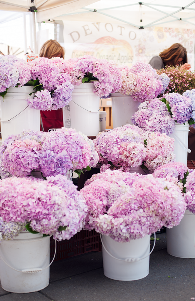 photo tumblr_n7le9uxy8f1qa3sufo1_1280_zpsff3045cf.png