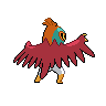 HawluchaBack_zpse30e593f.png