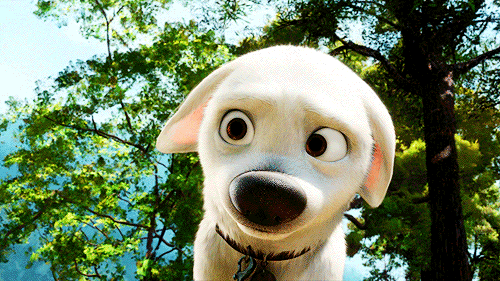 ggh_zpse6a6e303.gif