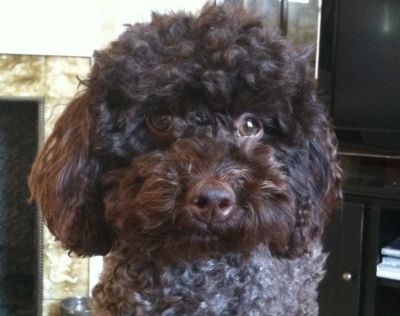 5bc938e2-1ca3-4ec2-a4d2-6218746c4134_zps