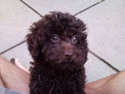 f12f955d-f5cf-42f1-9d73-6863db035543_zps