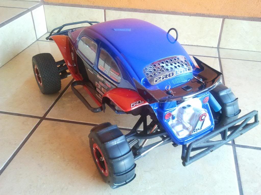 proline bug body