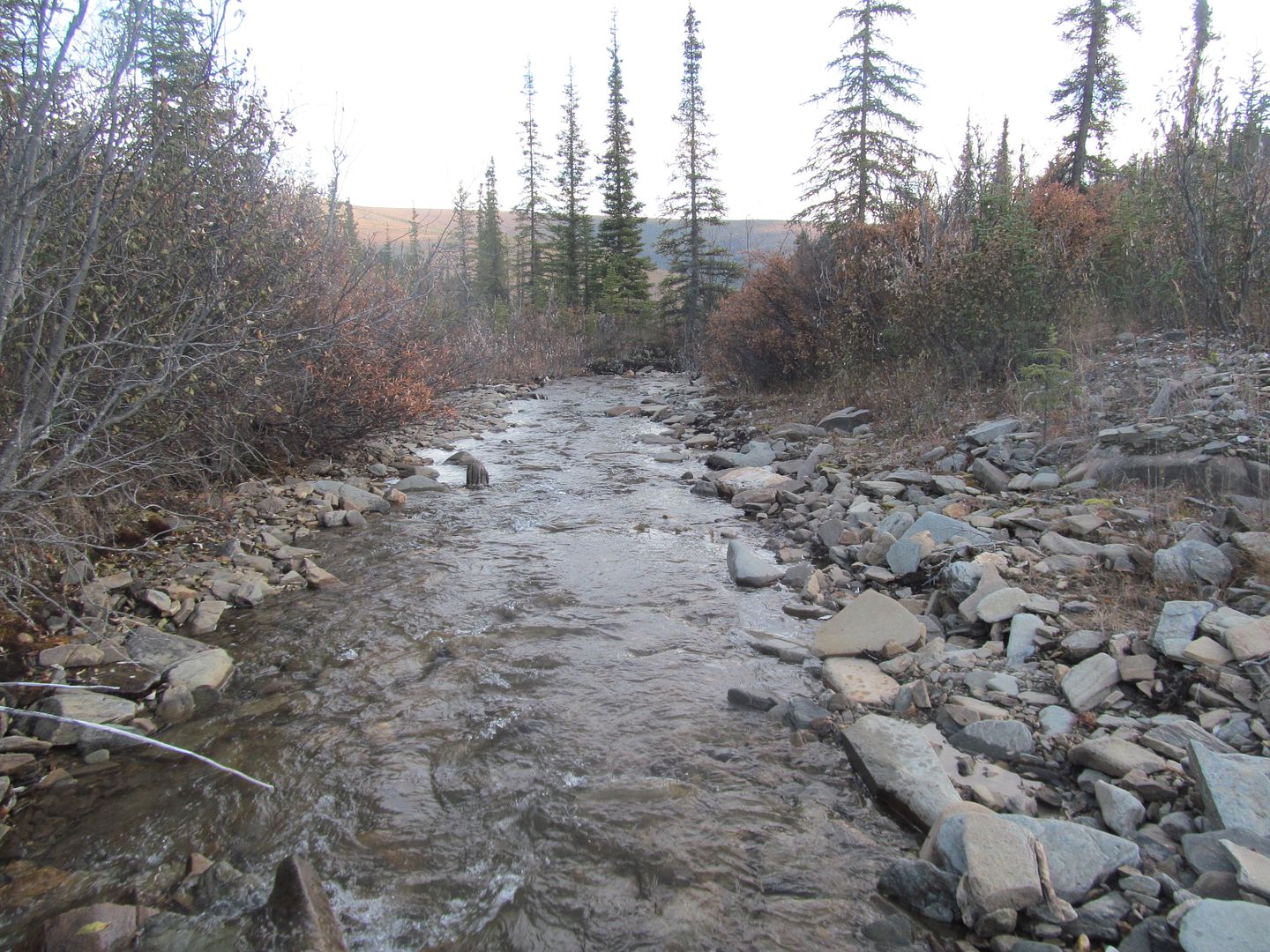 Alaska Gold Panning Placer Willows Creek Mining Claim Fairbanks AK 40 acres
