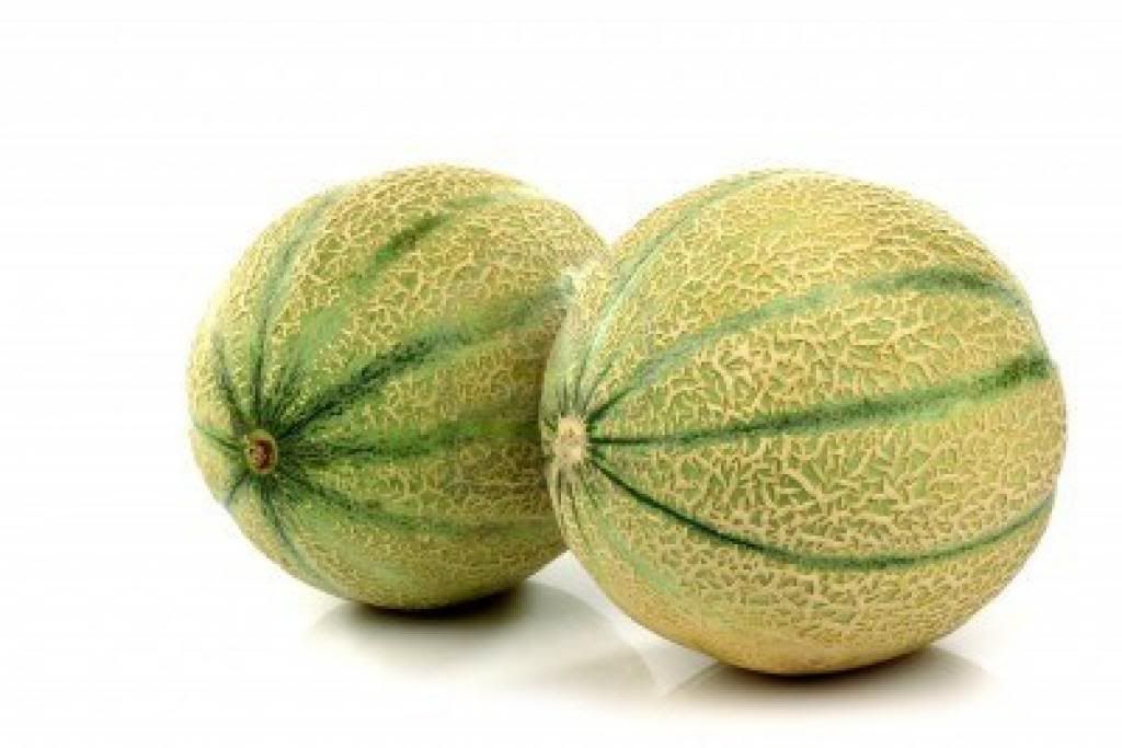 melons_zps1b0faa64.jpg