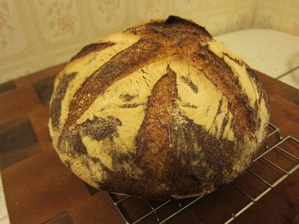 Sourdough Country Loaf