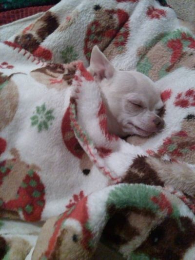 photo 10257964_1486593511560000_155391641_zps4f8042a6.jpg