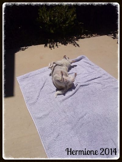 photo 10411889_1507717269447624_276983800_zps8d115c77.jpg