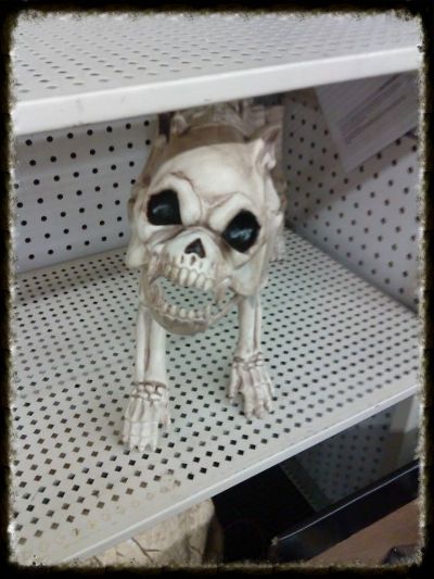  photo 10612535_340465386123070_2623487473_zps0aa503f3.jpg