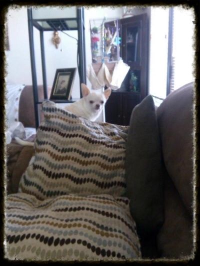 photo BxgmW-rIUAEbryG_zpsa573f462.jpg