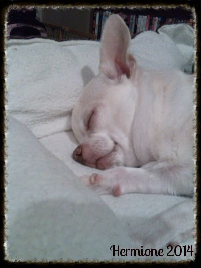 photo IMG_20140905_151059_744_zpsrxp0e85a.jpg