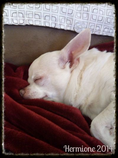 photo IMG_20140906_180510_260_zpsugcxxiin.jpg