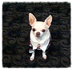  photo FotoFlexer_Photo_zps6c21bd3e.jpg