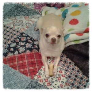  photo IMG_20140107_180720_zps66a96c3c.jpg