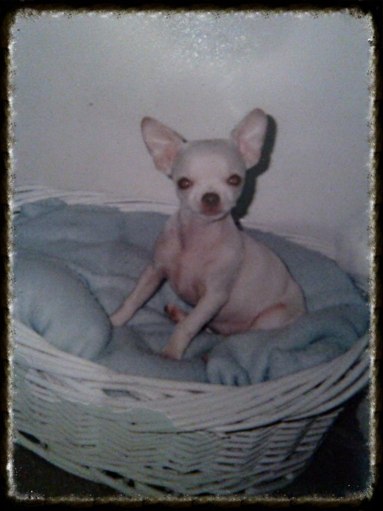  photo IMG_20140423_185942_308_zps97d151d4.jpg