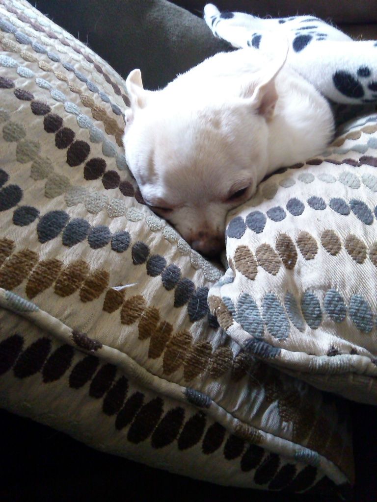  photo IMG_20140621_114336_501_zpsaa004401.jpg