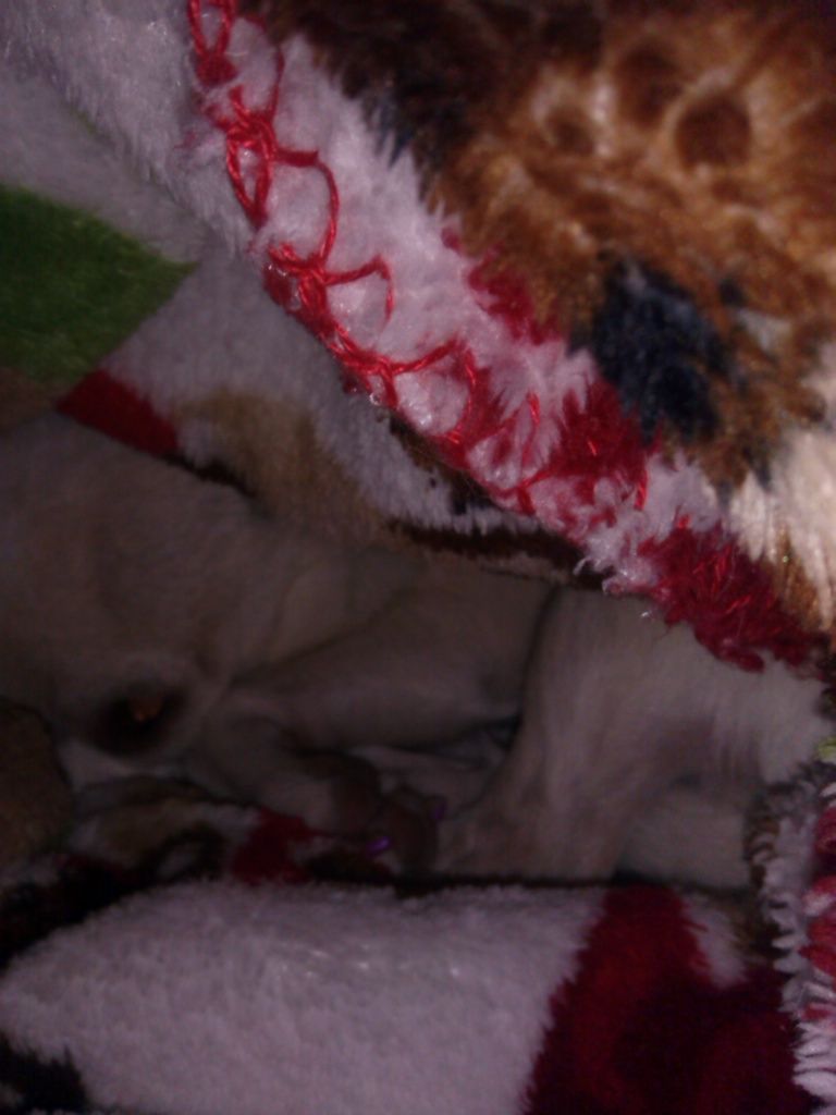  photo IMG_20140704_111347_495_zps15f8148f.jpg