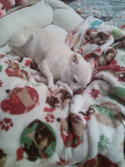 photo IMG_20140720_000900_919_zpspbz9p2gg.jpg