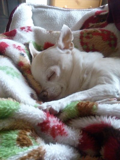 photo IMG_20140726_140233_801_zpsx3bk5cqs.jpg