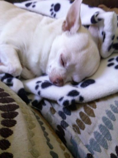 photo IMG_20140809_122906_220_zpsnlo9v3oi.jpg