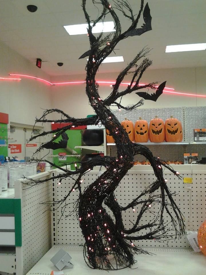  photo 10356394_305366662966276_5765312848027128304_n_zps04606a67.jpg