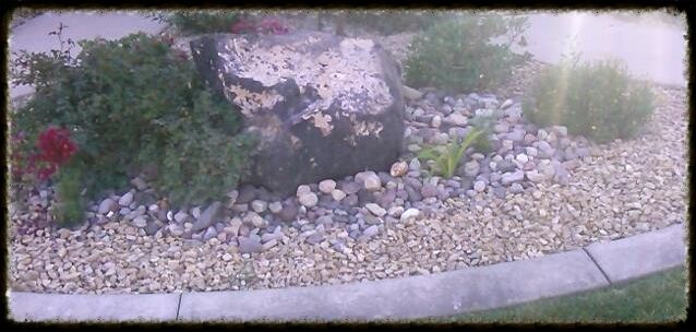  photo 1689324_349877545181854_91727863042_zps21c99690.jpg