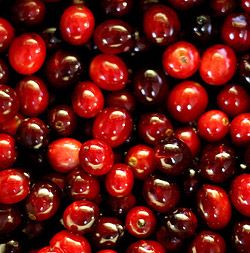 photo cranberry_colors_zps435b93c6.jpg