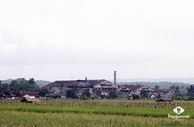 banjoemas heritage