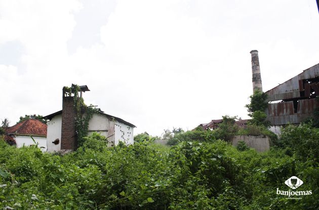 banjoemas heritage